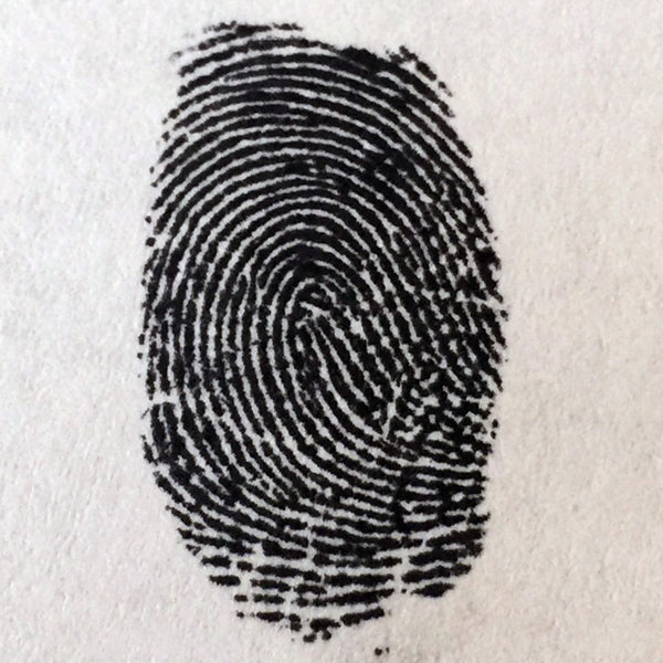 Fingerprint Upload - Client Profile - Code Generator